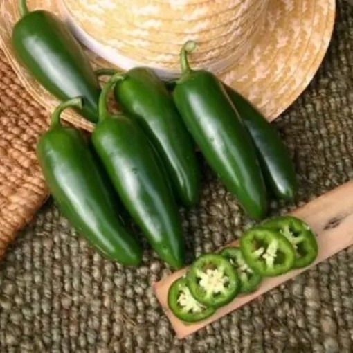 Mammoth Jalapeno Pepper Seeds