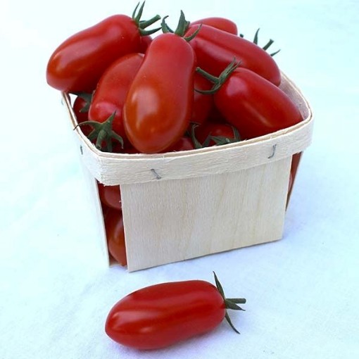 Marzito Tomato Seeds