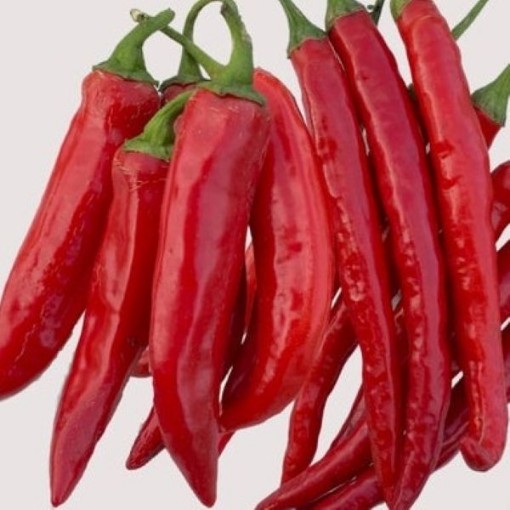 Calabrian Sigaretta Ristra Pepper Seeds