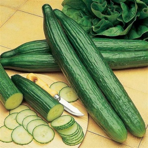 Telegraph Improved Cucumber Seeds
