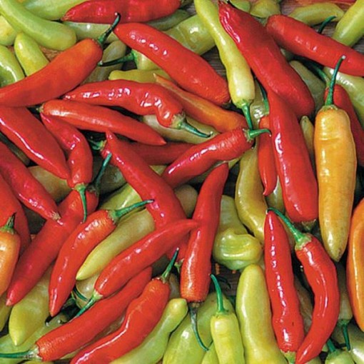 Aji Cristal Pepper Seeds