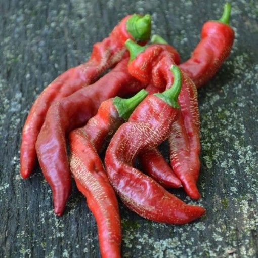 Ram's Horn Pepper Seeds