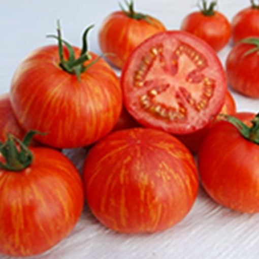 Skyreacher Tomato Seeds