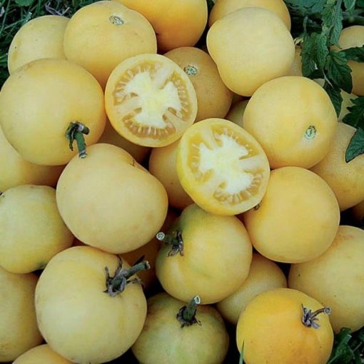 Wapsipinicon Peach Tomato Seeds