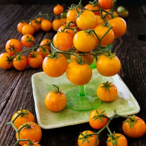 Isis Candy Tomato Seeds
