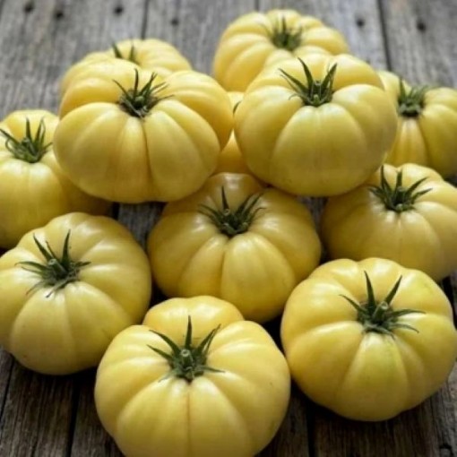 White Potato Leaf Tomato Seeds