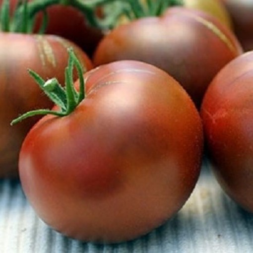 Nyagous Tomato Seeds