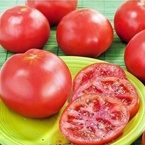 Marglobe Tomato Seeds