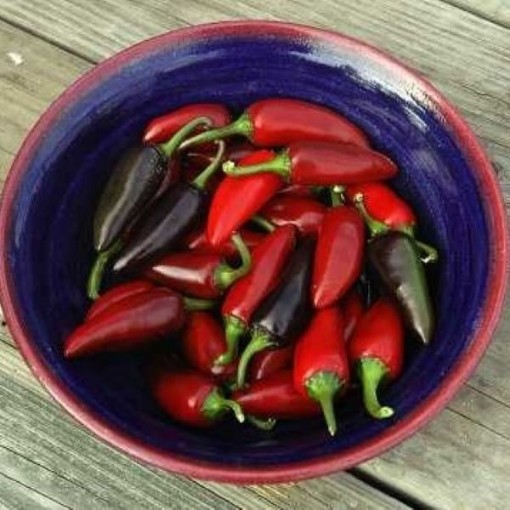 Czechoslovakian Black Pepper Seeds