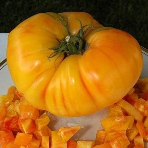 Marizol Gold Tomato Seeds