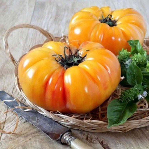 Pineapple Tomato Seeds