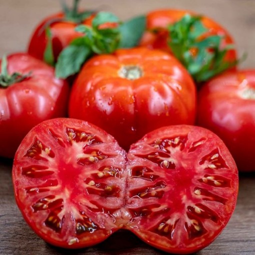 Cuostralee Tomato Seeds