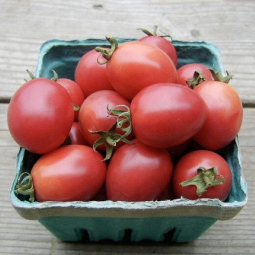 Egg Tomato Seeds
