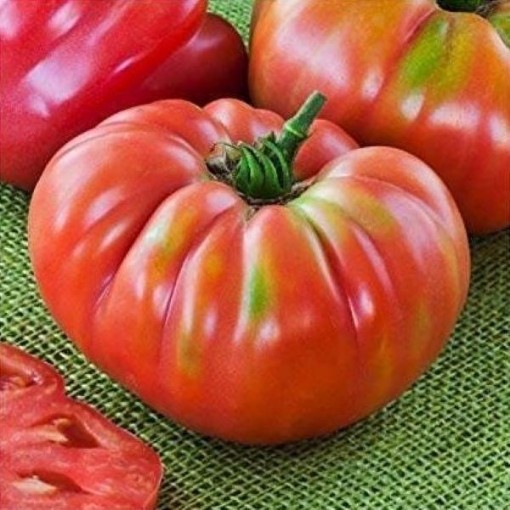 German Johnson Potato Leaf Tomato Seeds