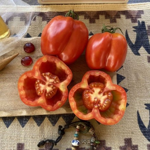 Liberty Bell Tomato Seeds
