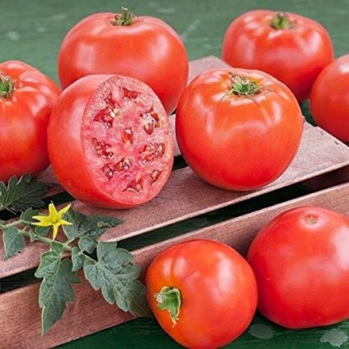 Goliath Early Tomato Seeds	