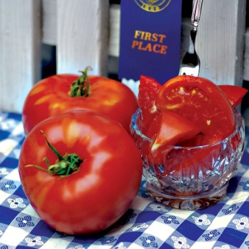 Fantastic Tomato Seeds