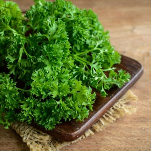 Forest Green Parsley Seeds