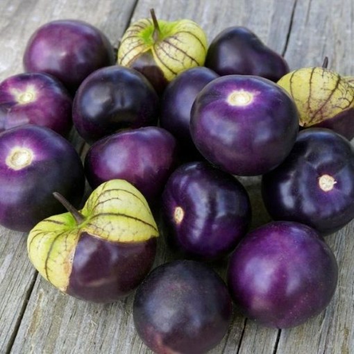 Purple Tomatillo Seeds