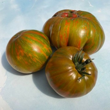 Green Berkeley Tie Dye Tomato Seeds