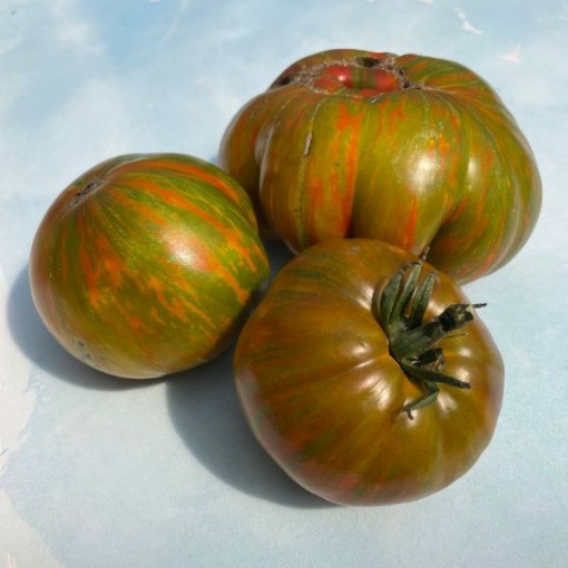 Green Berkeley Tie Dye Tomato Seeds