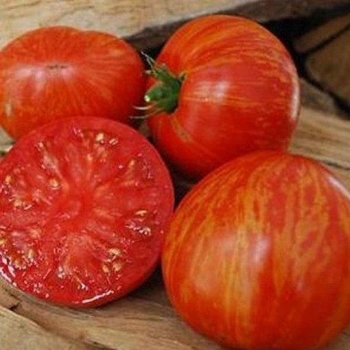 Solar Flare Tomato Seeds