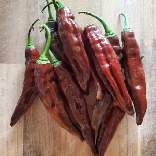 Aji Panca Pepper Seeds