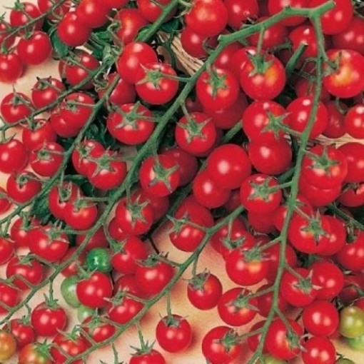 Sweet Million Tomato Seeds