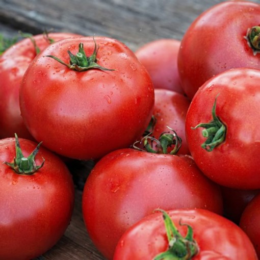Better Boy Tomato Seeds