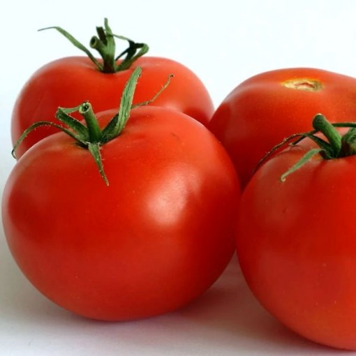 Cal Ace Tomato Seeds