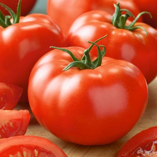 Brandymaster Red Tomato Seeds