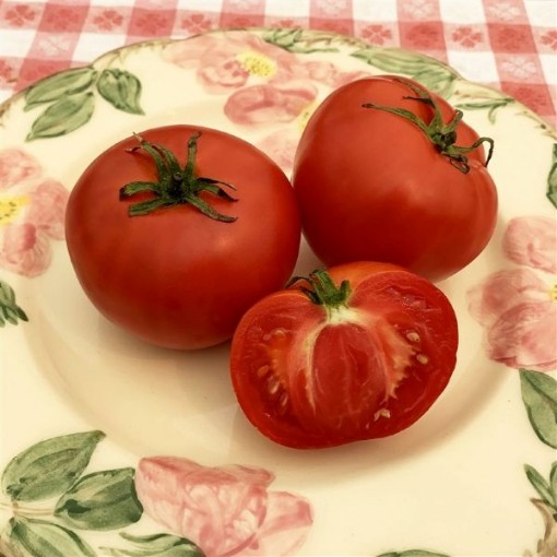 Sophie's Choice Tomato Seeds