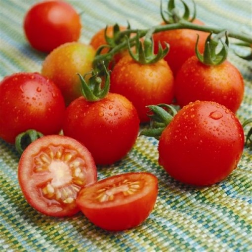 Tommy Toe Tomato Seeds