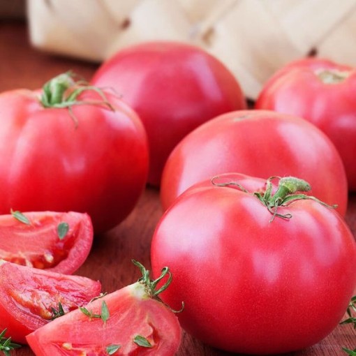 Bradley Tomato Seeds