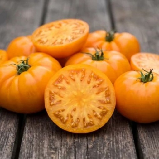 Persimmon Tomato Seeds