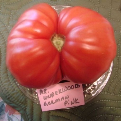 Mr Underwood's Pink German Giant Tomato Seeds