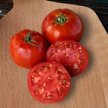 Jet Star Tomato Seeds
