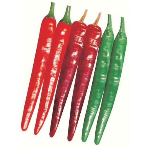 Wa Mae Wo Yeori Gochu Pepper Seeds