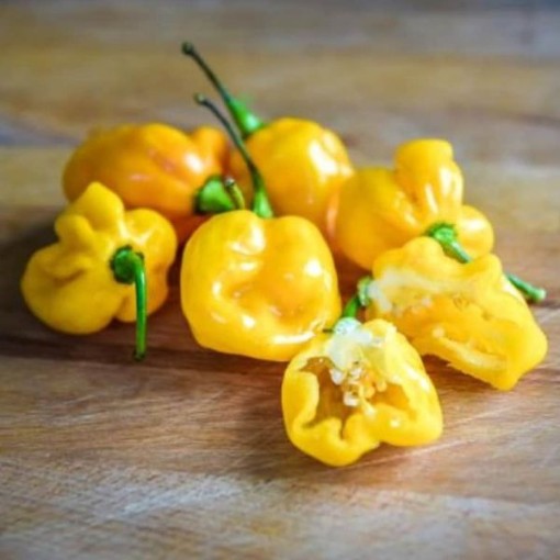 Small Yellow Cherry Pepper Seeds