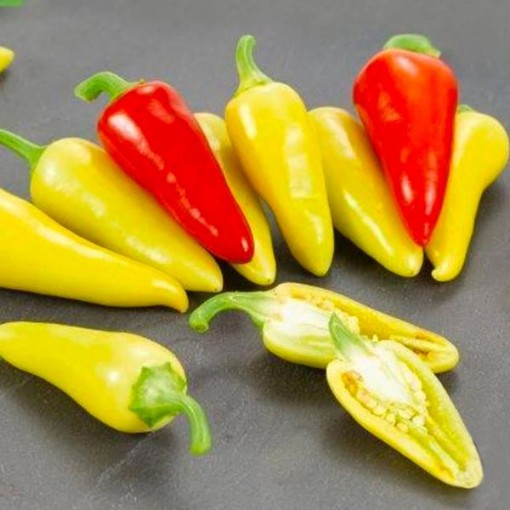 Dancing Spirit Pepper Seeds