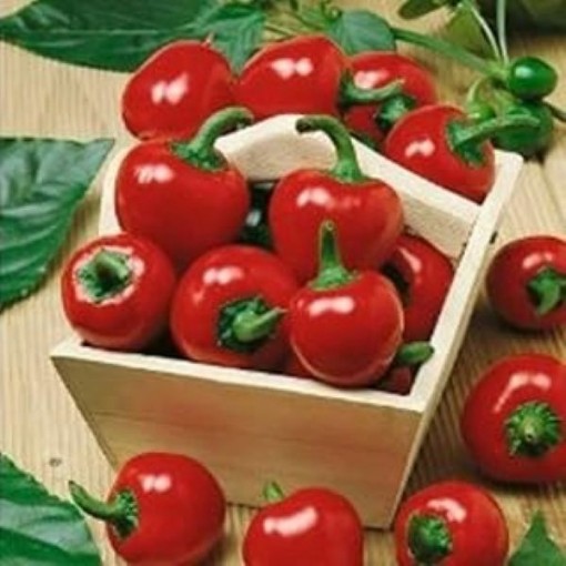 Red Hot Cherry Pepper Seeds