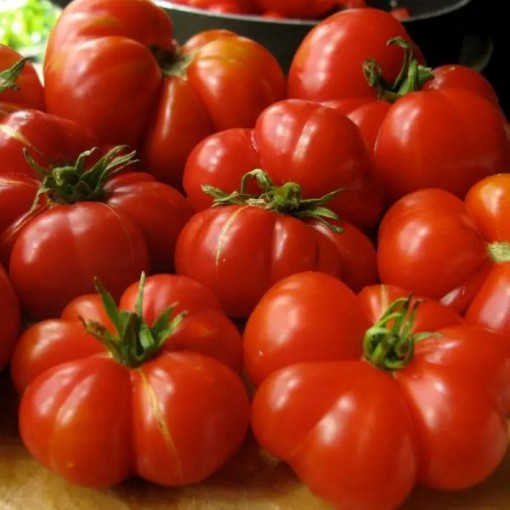 Red Calabash Tomato Seeds