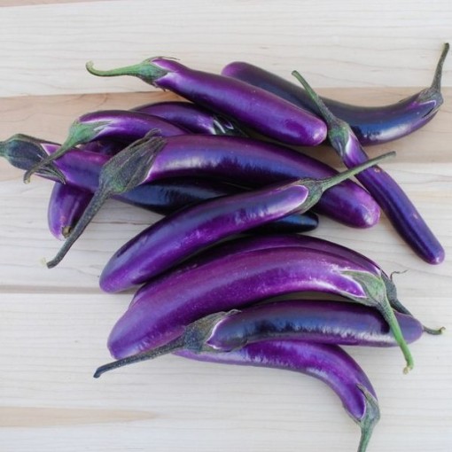 Ping Tung Long Eggplant Seeds