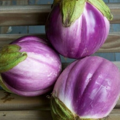 Rosa Bianca Eggplant Seeds