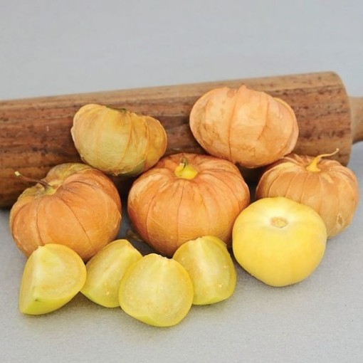 Mexican Strain Tomatillo Seeds