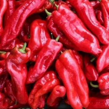 Dulce Italiano Pepper Seeds