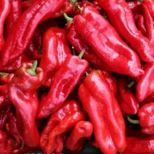 Dulce Italiano Pepper Seeds