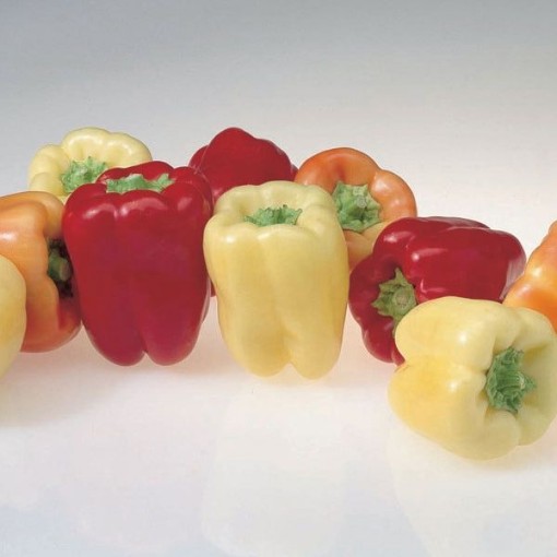 Flamingo Pepper Seeds