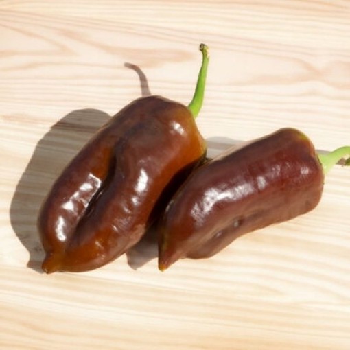 Georgescu Chocolate Pepper Seeds