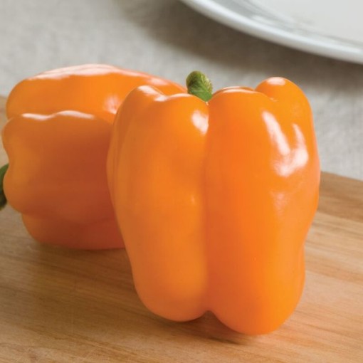 Gourmet Pepper Seeds
